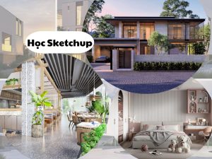 Học SketchUp